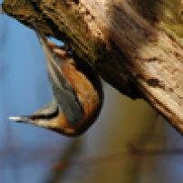 gallery/colorbox-example3-images-th_001